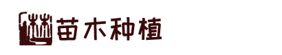 来利国际w66官方网站,w66利来指定